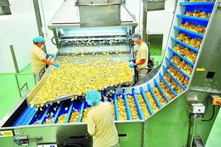 食品廠落地產品處理與銷售策略